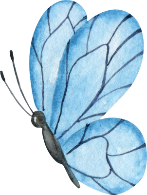 Organic Blue Butterfly