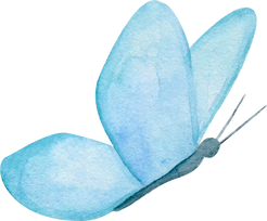 Illustration blue butterfly watercolor