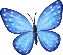 Watercolor Blue Butterfly 