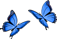 icon Butterfly Art sticker blue butterfly w1c3m