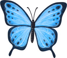 Watercolor Blue Butterfly 