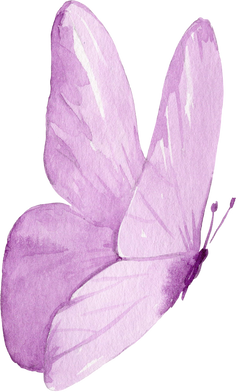 Watercolor Illustration Of The Violet Butterfly